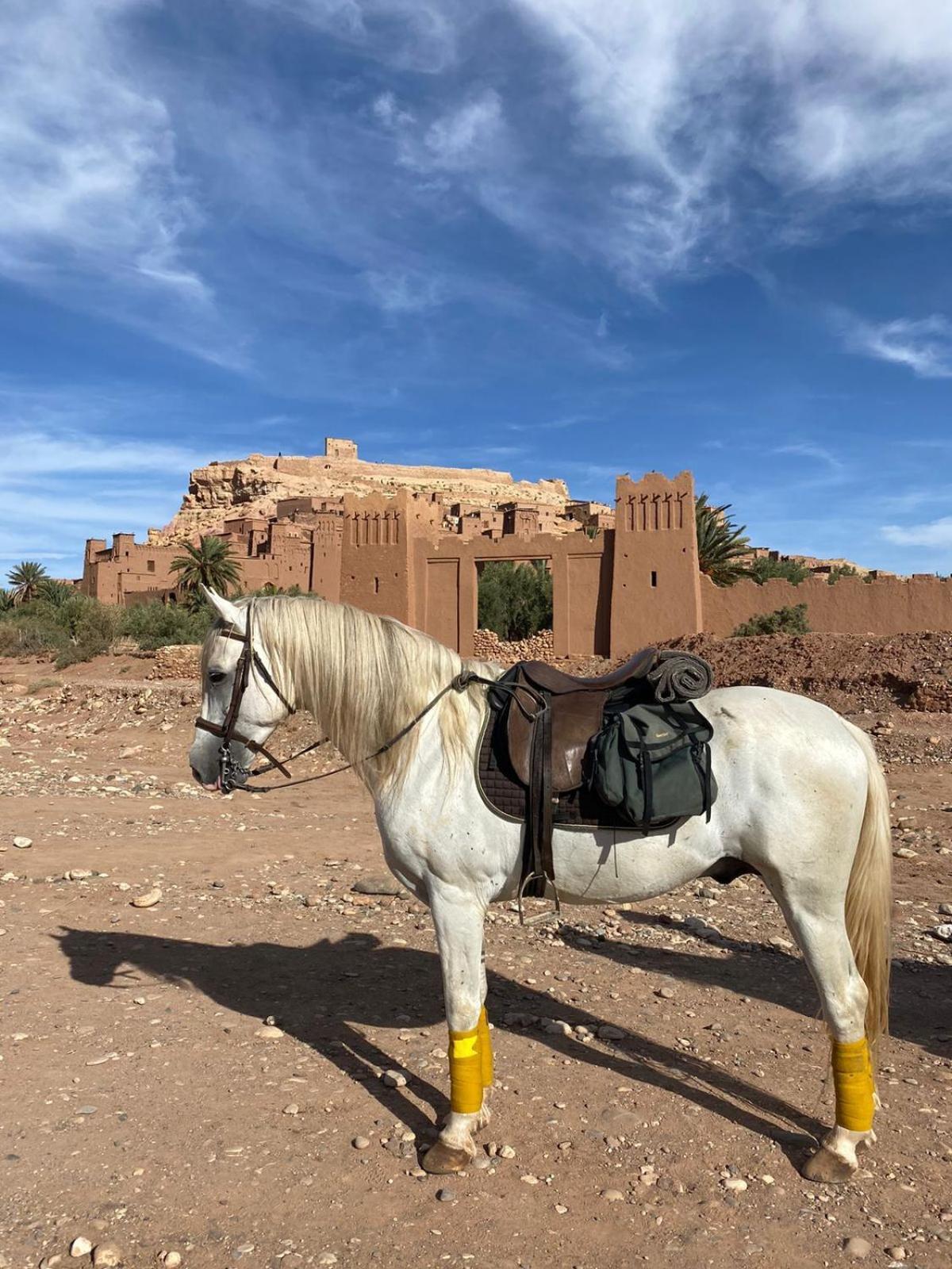 Taman'Art Space Ait Benhaddou Exterior photo